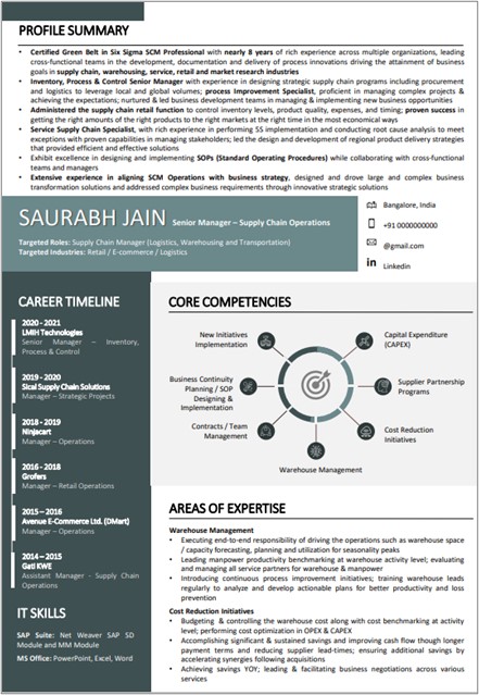 Infographic-Resume-sample-1